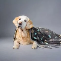 Allisandro Microplush Fleece Polyester Dog & Cat Blanket -Blue Buffalos Shop 372085 PT2. AC SS1800 V1650014536