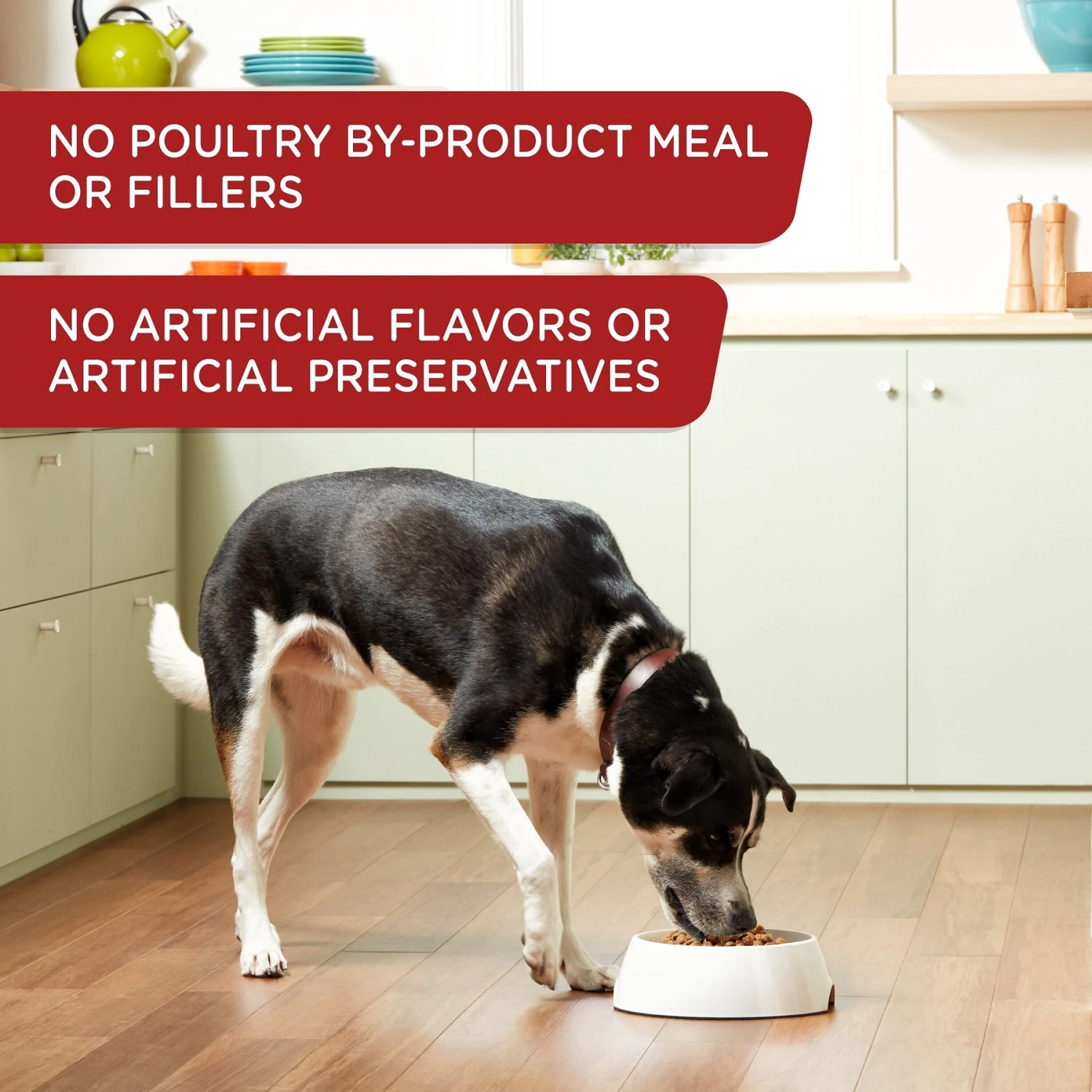 Rachael Ray Nutrish Real Beef & Pumpkin Canned Dog Food, 13-oz, Case Of 12 6 Rachael Ray Nutrish Real Beef & Pumpkin Canned Dog Food, 13-oz, Case Of 12 - Image 4