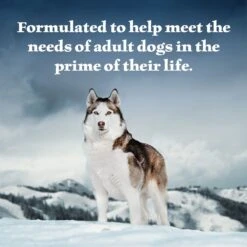 Blue Buffalo Wilderness Turkey & Chicken Grill Grain-Free Canned Dog Food -Blue Buffalos Shop 46835 PT3. AC SS1800 V1646795650