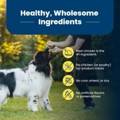 Blue Buffalo Life Protection Formula Healthy Weight Adult Chicken & Brown Rice Recipe Dry Dog Food -Blue Buffalos Shop 46839 PT5. AC SS1800 V1704319648
