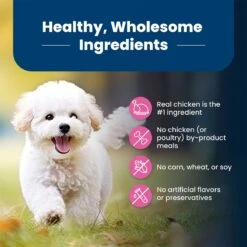 Blue Buffalo Life Protection Formula Small Breed Adult Chicken & Brown Rice Recipe Dry Dog Food -Blue Buffalos Shop 46874 PT5. AC SS1800 V1704319711