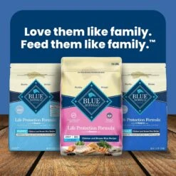 Blue Buffalo Life Protection Formula Small Breed Adult Chicken & Brown Rice Recipe Dry Dog Food -Blue Buffalos Shop 46874 PT8. AC SS1800 V1704319711