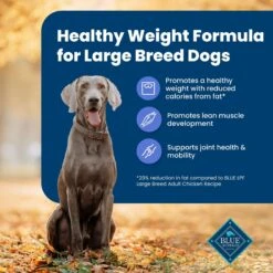 Blue Buffalo Life Protection Formula Large Breed Healthy Weight Adult Chicken & Brown Rice Recipe Dry Dog Food -Blue Buffalos Shop 46892 PT3. AC SS1800 V1701982219