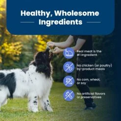Blue Buffalo Life Protection Formula Large Breed Healthy Weight Adult Chicken & Brown Rice Recipe Dry Dog Food -Blue Buffalos Shop 46892 PT5. AC SS1800 V1701982218