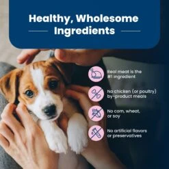 Blue Buffalo Life Protection Formula Small Breed Puppy Chicken & Oatmeal Recipe Dry Dog Food -Blue Buffalos Shop 46906 PT5. AC SS1800 V1636146121