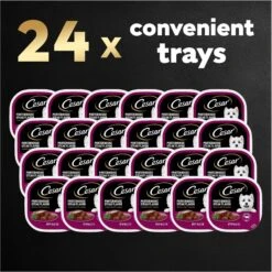 Cesar Classic Loaf In Sauce Porterhouse Steak Flavor Grain-Free Small Breed Adult Wet Dog Food Trays 19 Cesar Classic Loaf In Sauce Porterhouse Steak Flavor Grain-Free Small Breed Adult Wet Dog Food Trays -Blue Buffalos Shop 47085 PT8. AC SS1800 V1695750198