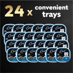 Cesar Classic Loaf In Sauce Lamb Recipe Grain-Free Small Breed Adult Wet Dog Food Trays 19 Cesar Classic Loaf In Sauce Lamb Recipe Grain-Free Small Breed Adult Wet Dog Food Trays -Blue Buffalos Shop 47089 PT8. AC SS1800 V1695746027