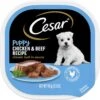 Cesar Puppy Classic Loaf In Sauce Chicken & Beef Recipe Grain-Free Small Breed Wet Dog Food Trays -Blue Buffalos Shop 47090 MAIN. AC SS1800 V1695650016