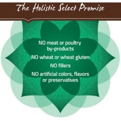 Holistic Select Large & Giant Breed Puppy Health Lamb Meal & Oatmeal Recipe Dry Dog Food -Blue Buffalos Shop 47634 PT6. AC SS1800 V1660707237