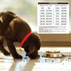 Holistic Select Large & Giant Breed Adult Health Chicken Meal & Oatmeal Recipe Dry Dog Food -Blue Buffalos Shop 47654 PT5. AC SS1800 V1660574060