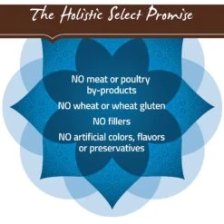 Holistic Select Large & Giant Breed Adult Health Chicken Meal & Oatmeal Recipe Dry Dog Food -Blue Buffalos Shop 47654 PT6. AC SS1800 V1660707206