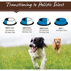 Holistic Select Large & Giant Breed Adult Health Chicken Meal & Oatmeal Recipe Dry Dog Food -Blue Buffalos Shop 47654 PT8. AC SS1800 V1510679619