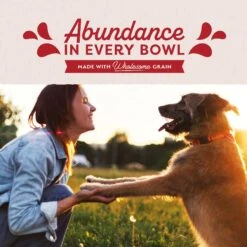 Natural Balance Original Ultra Beef Recipe Wet Dog Food -Blue Buffalos Shop 48008 PT5. AC SS1800 V1684432397