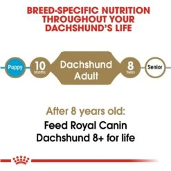 Royal Canin Breed Health Nutrition Dachshund Adult Dry Dog Food -Blue Buffalos Shop 48694 PT6. AC SS1800 V1697054916