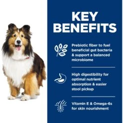 Hill's Science Diet Adult Sensitive Stomach & Sensitive Skin Chicken Recipe Dry Dog Food -Blue Buffalos Shop 48856 PT5. AC SS1800 V1634575573