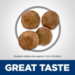 Hill's Science Diet Adult Sensitive Stomach & Sensitive Skin Chicken Recipe Dry Dog Food -Blue Buffalos Shop 48856 PT6. AC SS1800 V1634576506