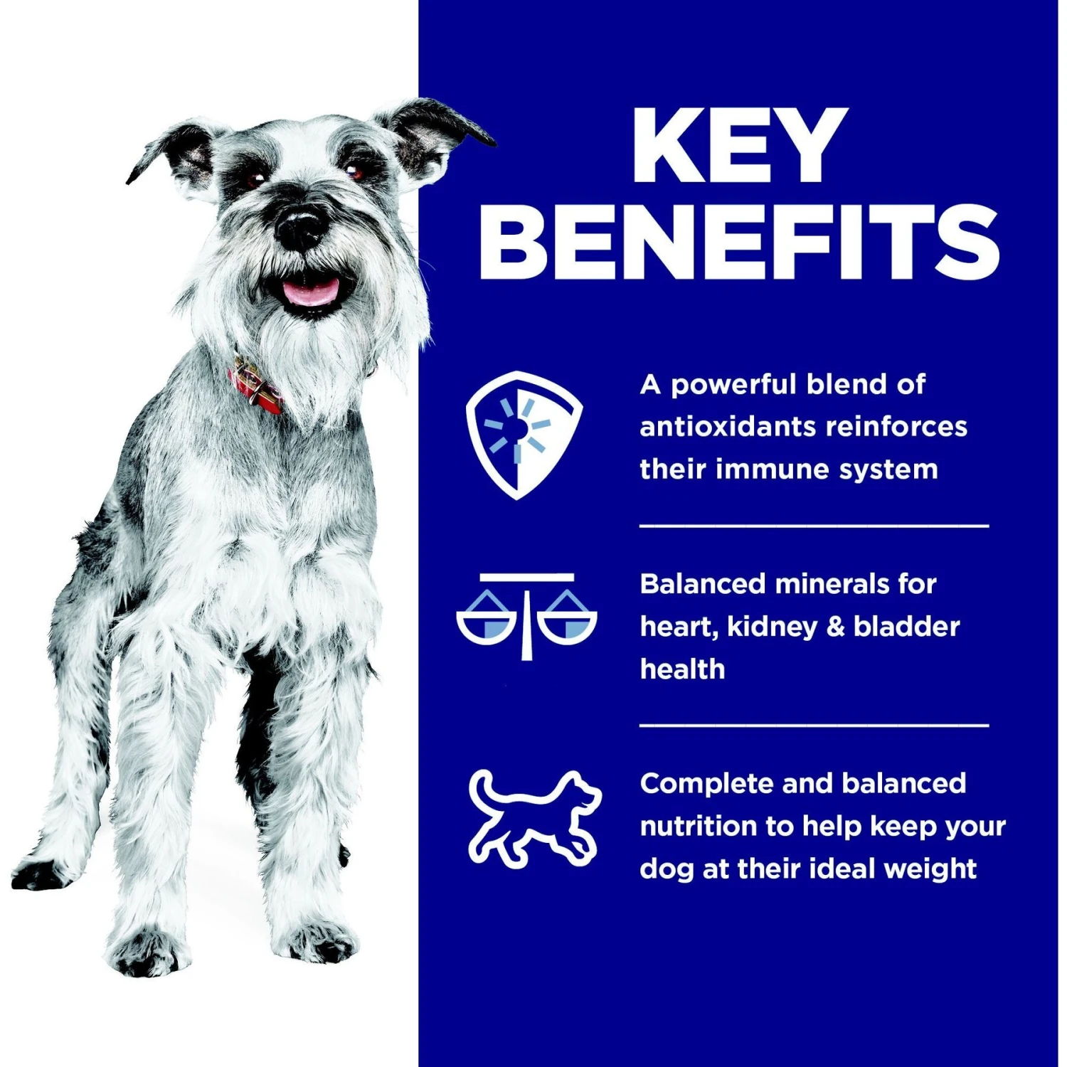 Hill's Science Diet Adult 7+ Small & Mini Chicken Meal, Barley & Brown Rice Recipe Dry Dog Food 7 Hill's Science Diet Adult 7+ Small & Mini Chicken Meal, Barley & Brown Rice Recipe Dry Dog Food - Image 5