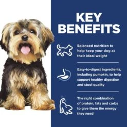 Hill's Science Diet Adult Small & Mini Chicken Meal & Rice Recipe Dry Dog Food 16 Hill's Science Diet Adult Small & Mini Chicken Meal & Rice Recipe Dry Dog Food -Blue Buffalos Shop 48941 PT5. AC SS1800 V1692798791