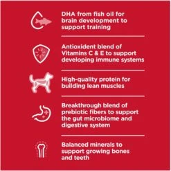 Hill's Science Diet Puppy Chicken & Barley Entree Canned Dog Food 14 Hill's Science Diet Puppy Chicken & Barley Entree Canned Dog Food -Blue Buffalos Shop 48946 PT3. AC SS1800 V1690571496