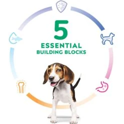 Hill's Science Diet Puppy Chicken & Barley Entree Canned Dog Food 15 Hill's Science Diet Puppy Chicken & Barley Entree Canned Dog Food -Blue Buffalos Shop 48946 PT4. AC SS1800 V1690566662