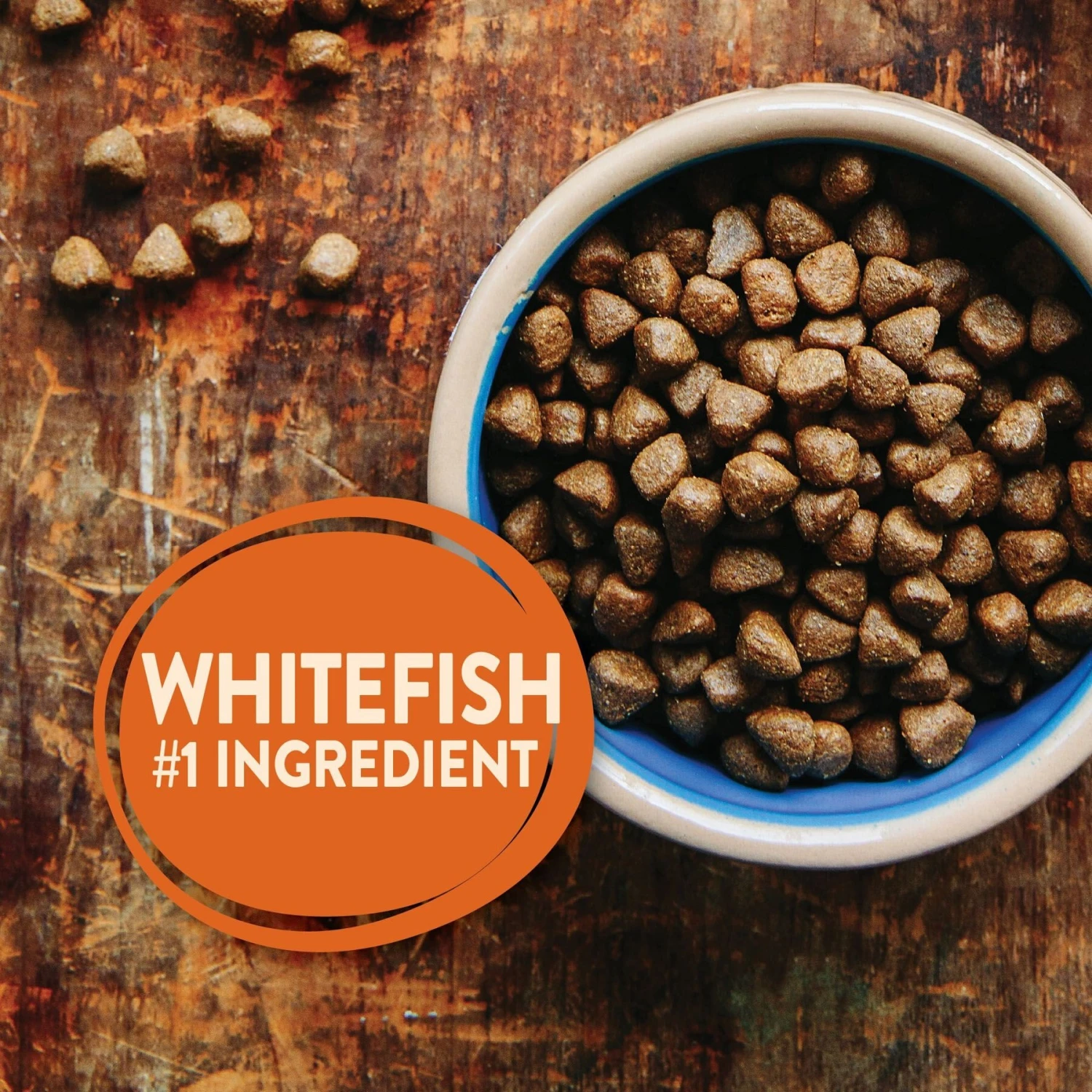 Wellness CORE Ocean Whitefish, Herring & Salmon Recipe Dry Dog Food 6 Wellness CORE Ocean Whitefish, Herring & Salmon Recipe Dry Dog Food - Image 4
