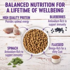 Wellness Complete Health Puppy Deboned Chicken, Oatmeal & Salmon Meal Recipe Dry Dog Food -Blue Buffalos Shop 49183 PT2. AC SS1800 V1677616437