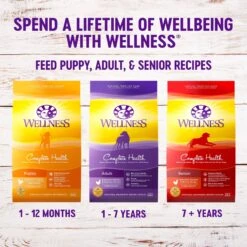 Wellness Complete Health Senior Deboned Chicken & Barley Recipe Dry Dog Food 13 Wellness Complete Health Senior Deboned Chicken & Barley Recipe Dry Dog Food -Blue Buffalos Shop 49186 PT4. AC SS1800 V1594842667