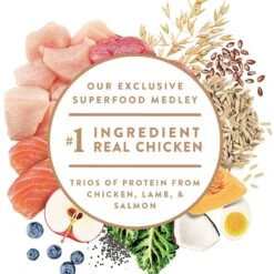 Nutro Ultra Puppy Dry Dog Food -Blue Buffalos Shop 49618 PT3. AC SS1800 V1702678607