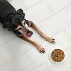 Nutro Ultra Senior Dry Dog Food 14 Nutro Ultra Senior Dry Dog Food -Blue Buffalos Shop 49630 PT3. AC SS1800 V1702678487