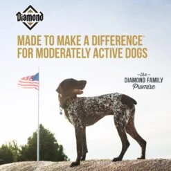 Diamond Maintenance Formula Adult Dry Dog Food -Blue Buffalos Shop 49781 PT4. AC SS1800 V1641259583