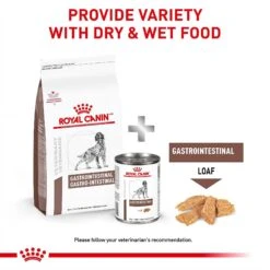 Royal Canin Veterinary Diet Adult Gastrointestinal Loaf Canned Dog Food 14 Royal Canin Veterinary Diet Adult Gastrointestinal Loaf Canned Dog Food -Blue Buffalos Shop 50194 PT3. AC SS1800 V1691702115
