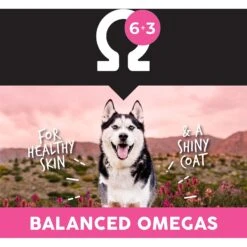 Ultimates Meadow Prime Grain-Free Lamb & Potato Dry Dog Food -Blue Buffalos Shop 502434 PT5. AC SS1800 V1647986515