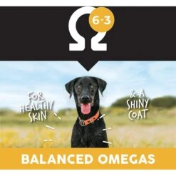 Ultimates Heartland Choice Chicken & Potato Grain-Free Dry Dog Food 14 Ultimates Heartland Choice Chicken & Potato Grain-Free Dry Dog Food -Blue Buffalos Shop 502458 PT5. AC SS1800 V1647986520