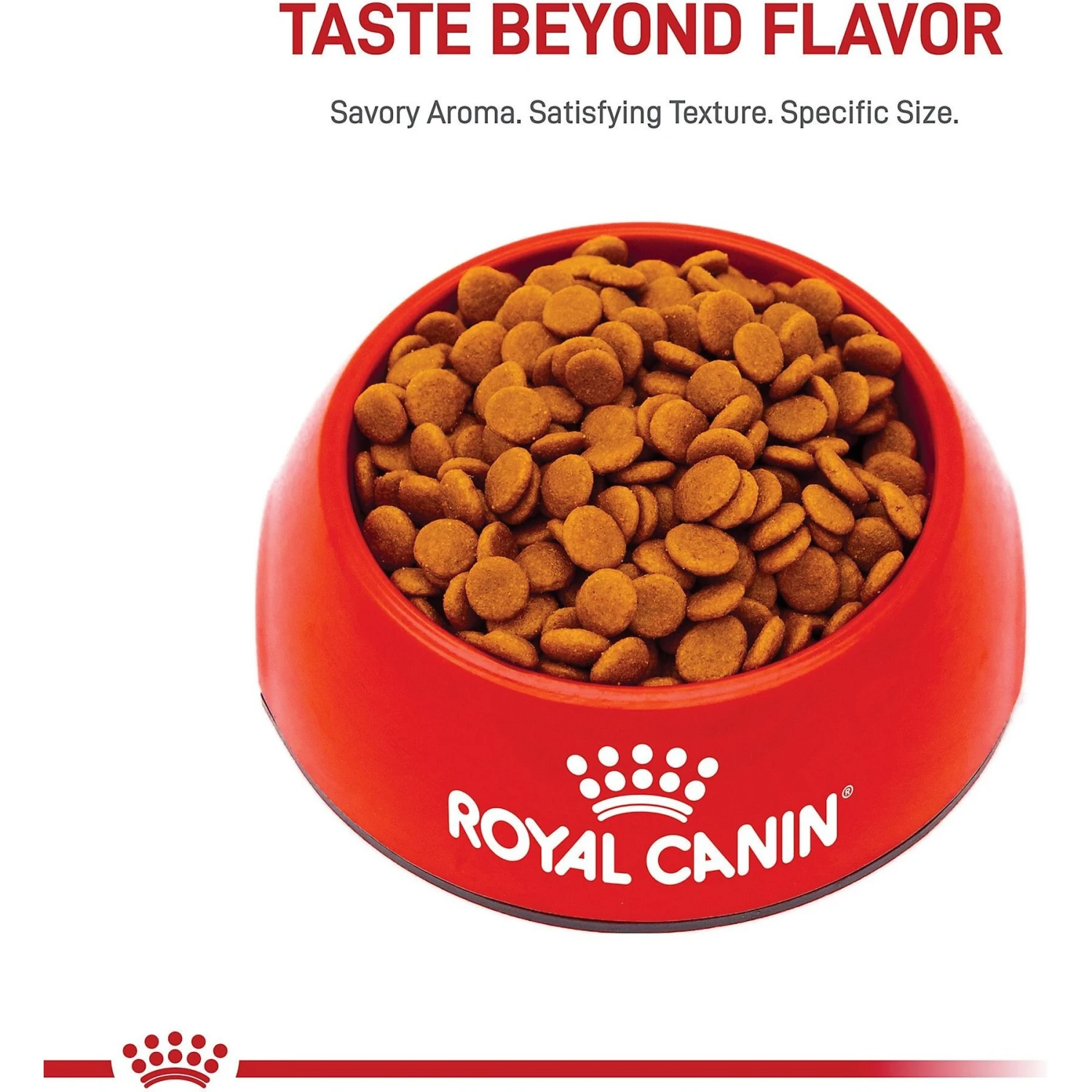Royal Canin Canine Care Nutrition Small Digestive Care Dry Dog Food 4 Royal Canin Canine Care Nutrition Small Digestive Care Dry Dog Food - Image 2