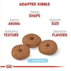 Royal Canin Size Health Nutrition Small Aging 12+ Dry Dog Food -Blue Buffalos Shop 50257 PT2. AC SS1800 V1697212427