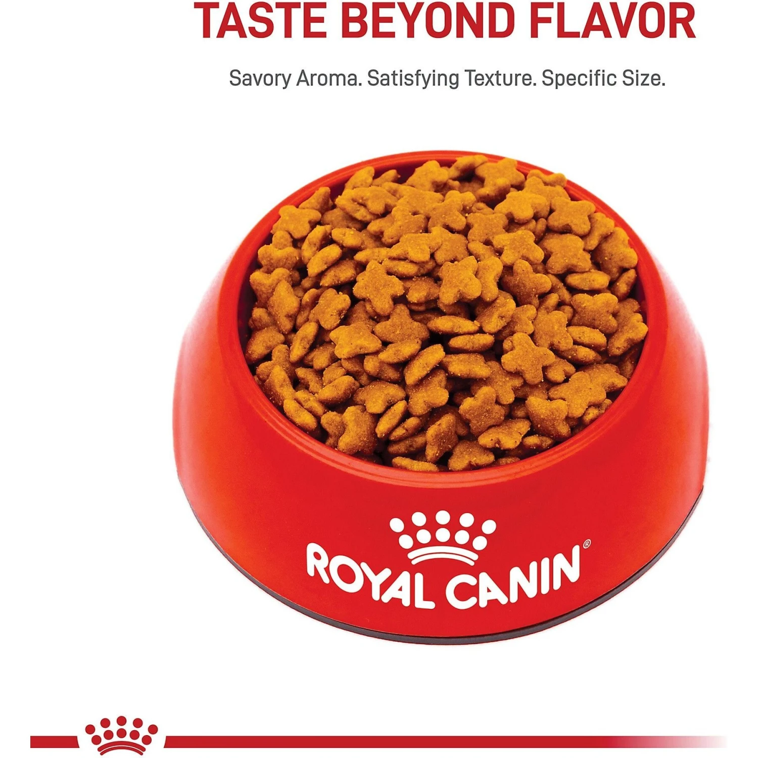 Royal Canin Size Health Nutrition Small Adult 8+ Dry Dog Food 4 Royal Canin Size Health Nutrition Small Adult 8+ Dry Dog Food - Image 2