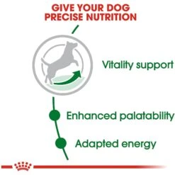 Royal Canin Size Health Nutrition Small Adult 8+ Dry Dog Food 15 Royal Canin Size Health Nutrition Small Adult 8+ Dry Dog Food -Blue Buffalos Shop 50260 PT4. AC SS1800 V1697213094