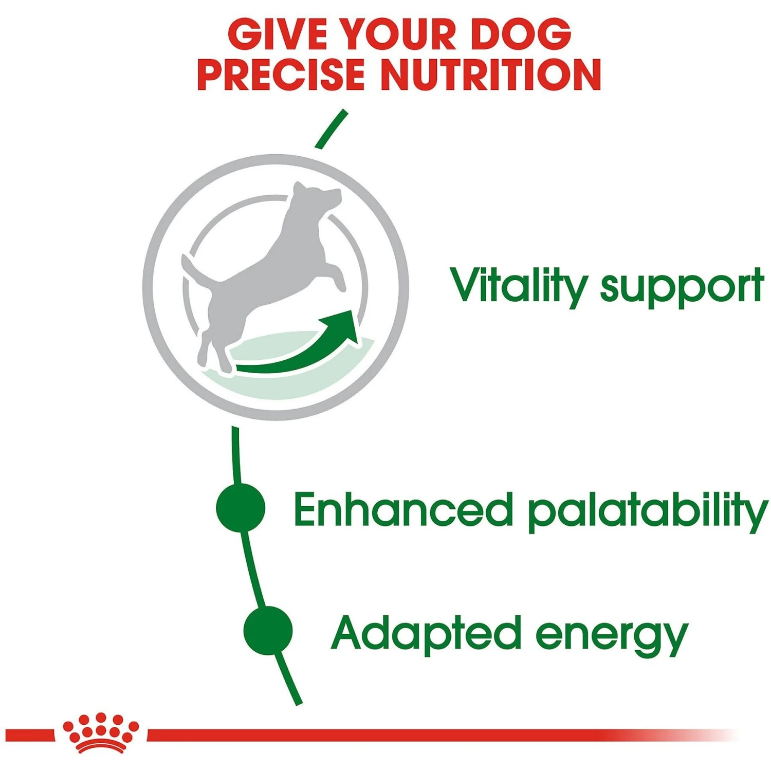 Royal Canin Size Health Nutrition Small Adult 8+ Dry Dog Food 7 Royal Canin Size Health Nutrition Small Adult 8+ Dry Dog Food - Image 5