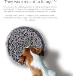 Pet Parents Forager Snuffle Mat & Slow Feeder Dog Bowl -Blue Buffalos Shop 505542 PT3. AC SS1800 V1696255000