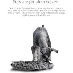 Pet Parents Forager Snuffle Mat & Slow Feeder Dog Bowl -Blue Buffalos Shop 505542 PT5. AC SS1800 V1696255492