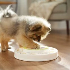 Frisco Tiered Cake Interactive Puzzle Dog Toy, Easy 14 Frisco Tiered Cake Interactive Puzzle Dog Toy, Easy -Blue Buffalos Shop 506346 PT5. AC SS1800 V1674666566