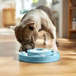 Frisco Two Tier Interactive Puzzle Dog Toy, Easy -Blue Buffalos Shop 506370 PT5. AC SS1800 V1674671566