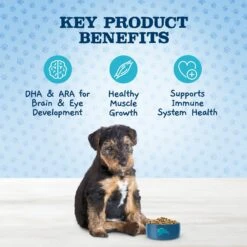 Blue Buffalo Baby Blue Healthy Growth Formula Natural Chicken & Brown Rice Recipe Puppy Dry Food & Blue Buffalo Baby Blue Healthy Growth Formula Natural Chicken & Vegetable Recipe Puppy Wet Food, 12.5-oz Cans, Case Of 12 -Blue Buffalos Shop 514998 PT4. AC SS1800 V1649338588