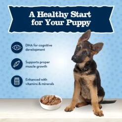 Blue Buffalo Baby Blue Healthy Growth Formula Natural Chicken & Brown Rice Recipe Puppy Dry Food & Blue Buffalo Baby Blue Healthy Growth Formula Natural Chicken & Vegetable Recipe Puppy Wet Food, 12.5-oz Cans, Case Of 12 -Blue Buffalos Shop 514998 PT8. AC SS1800 V1649341383