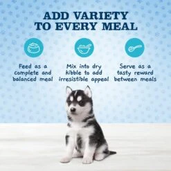 Blue Buffalo Baby Blue Healthy Growth Formula Natural Chicken & Vegetable Recipe Puppy Wet Food, 12.5-oz Cans, Case Of 12 & Blue Buffalo Baby Blue Healthy Growth Formula Grain-Free High Protein Turkey & Potato Recipe Puppy Wet Food, 12.5-oz Cans, Case Of 12 -Blue Buffalos Shop 515038 PT4. AC SS1800 V1649349851