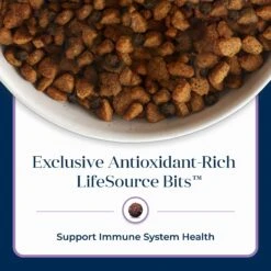 Blue Buffalo Basics Skin & Stomach Care Turkey & Potato Recipe Small Breed Adult Dry Dog Food -Blue Buffalos Shop 51915 PT7. AC SS1800 V1646266287