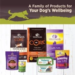 Wellness CORE Grain-Free Weight Management Formula Canned Dog Food -Blue Buffalos Shop 52029 PT4. AC SS1800 V1625841360
