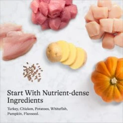 American Journey Turkey Recipe Grain-Free Canned Dog Food, 12.5-oz & American Journey Limited Ingredient Turkey & Sweet Potato Recipe Grain-Free Dry Dog Food 18 American Journey Turkey Recipe Grain-Free Canned Dog Food, 12.5-oz & American Journey Limited Ingredient Turkey & Sweet Potato Recipe Grain-Free Dry Dog Food -Blue Buffalos Shop 523078 PT7. AC SS1800 V1694611164