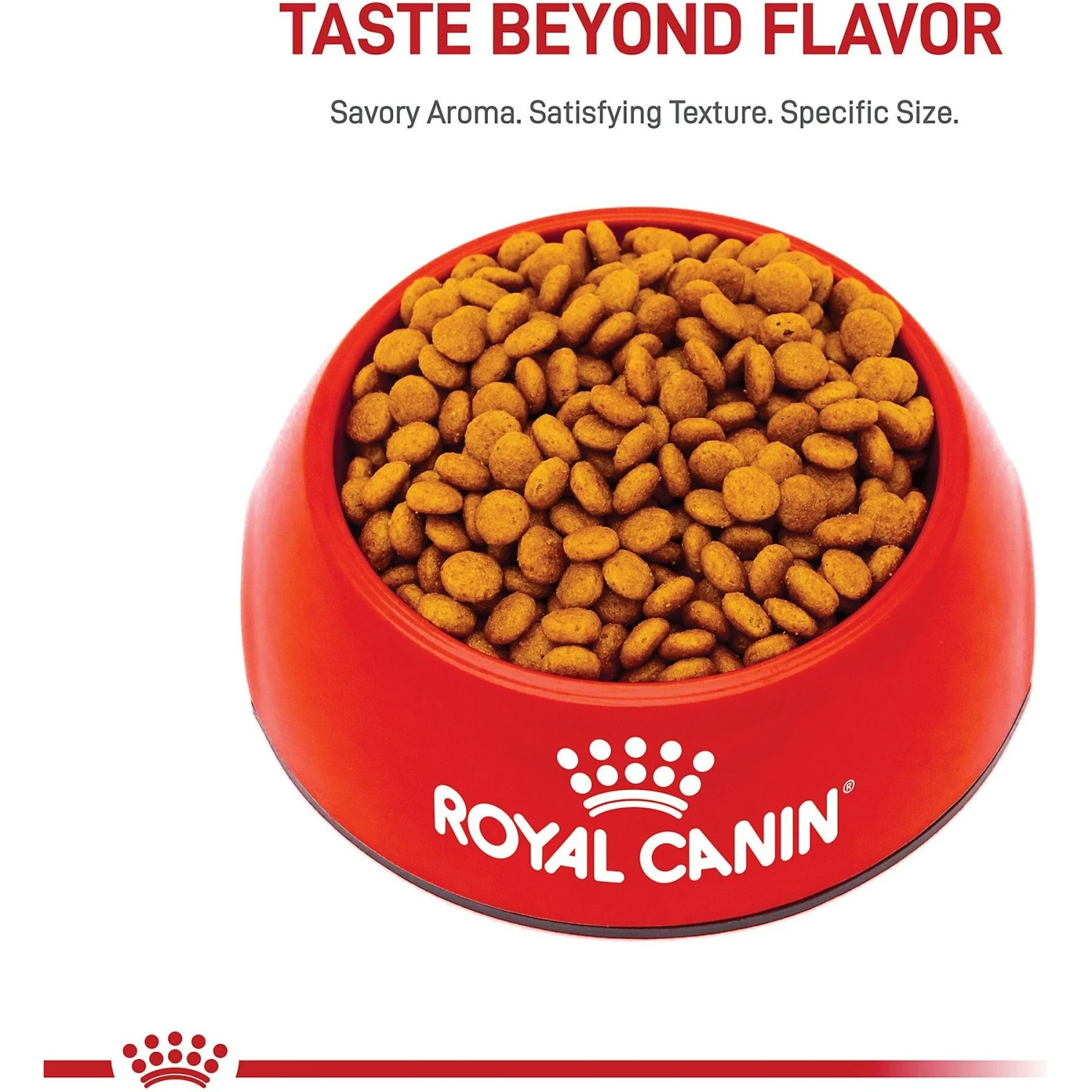 Royal Canin Size Health Nutrition X-Small Adult 8+ Dry Dog Food 4 Royal Canin Size Health Nutrition X-Small Adult 8+ Dry Dog Food - Image 2