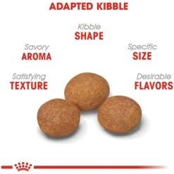 Royal Canin Size Health Nutrition X-Small Adult 8+ Dry Dog Food 14 Royal Canin Size Health Nutrition X-Small Adult 8+ Dry Dog Food -Blue Buffalos Shop 52396 PT3. AC SS1800 V1697213407